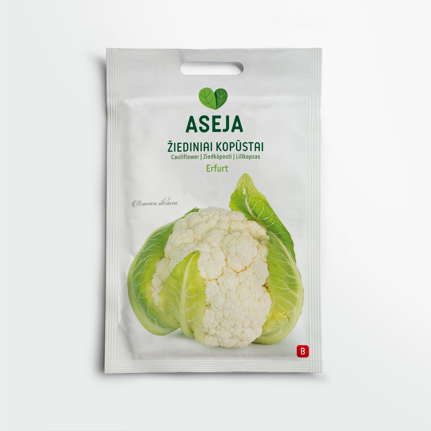 Žiediniai kopūstai Erfurt, ASEJA, 0,5 g, 20-0517 (B)