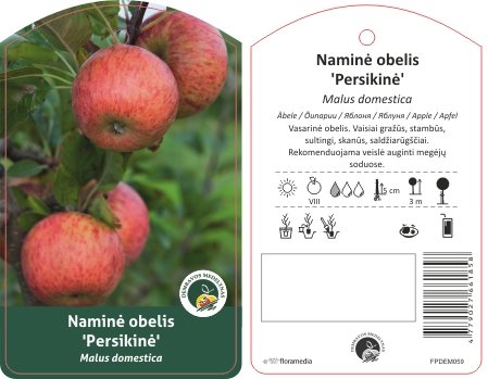 Vaismedis, obelis persikinė (Malus domestica)