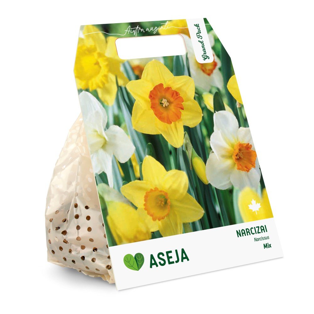 Narcizų Mix svogūnėliai ASEJA Grand Pack, 15 vnt., 10/12, 504320, (R)
