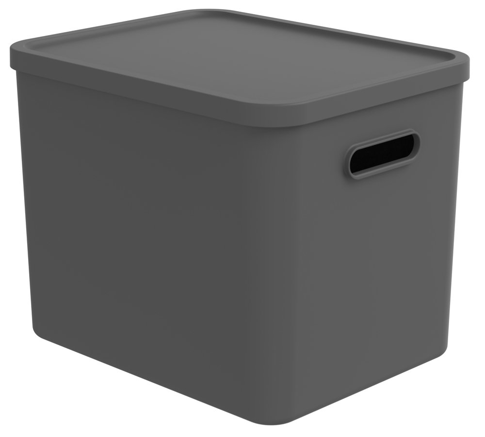 Daiktadėžė ROTHO Albula, 27 l, su dangčiu, antracito sp.