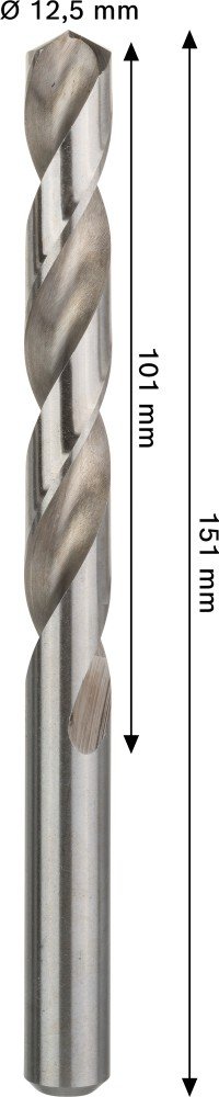 Grąžtas metalui BOSCH HSS-G, DIN 338, 12,5 × 101 × 151 mm