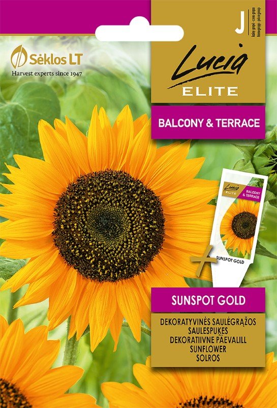 Gėlių sėklos, LUCIA ELITE ELN - Saulėgrąžos dekoratyvinės, SUNSPOT GOLD, J, 2 g.