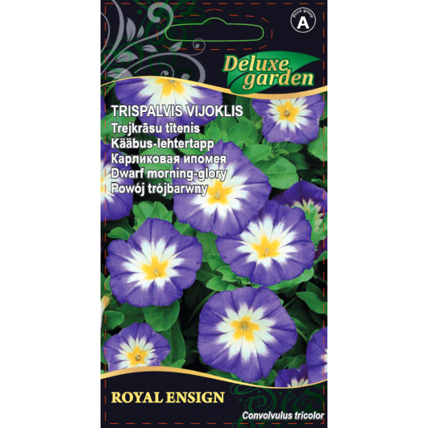 Gėlių sėklos, trispalvis vijoklis Royal Ensign, 1 g., 8939, A