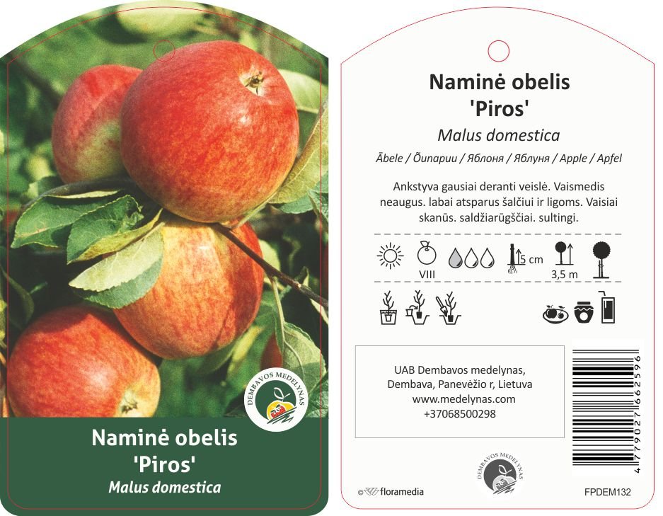 Vaismedis, obelis vasarinė "Piros"