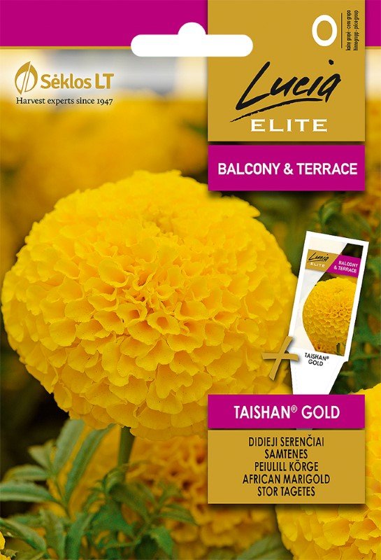 Gėlių sėklos, LUCIA ELITE ELN-Serenčiai didieji taishan gold, O, 5 g