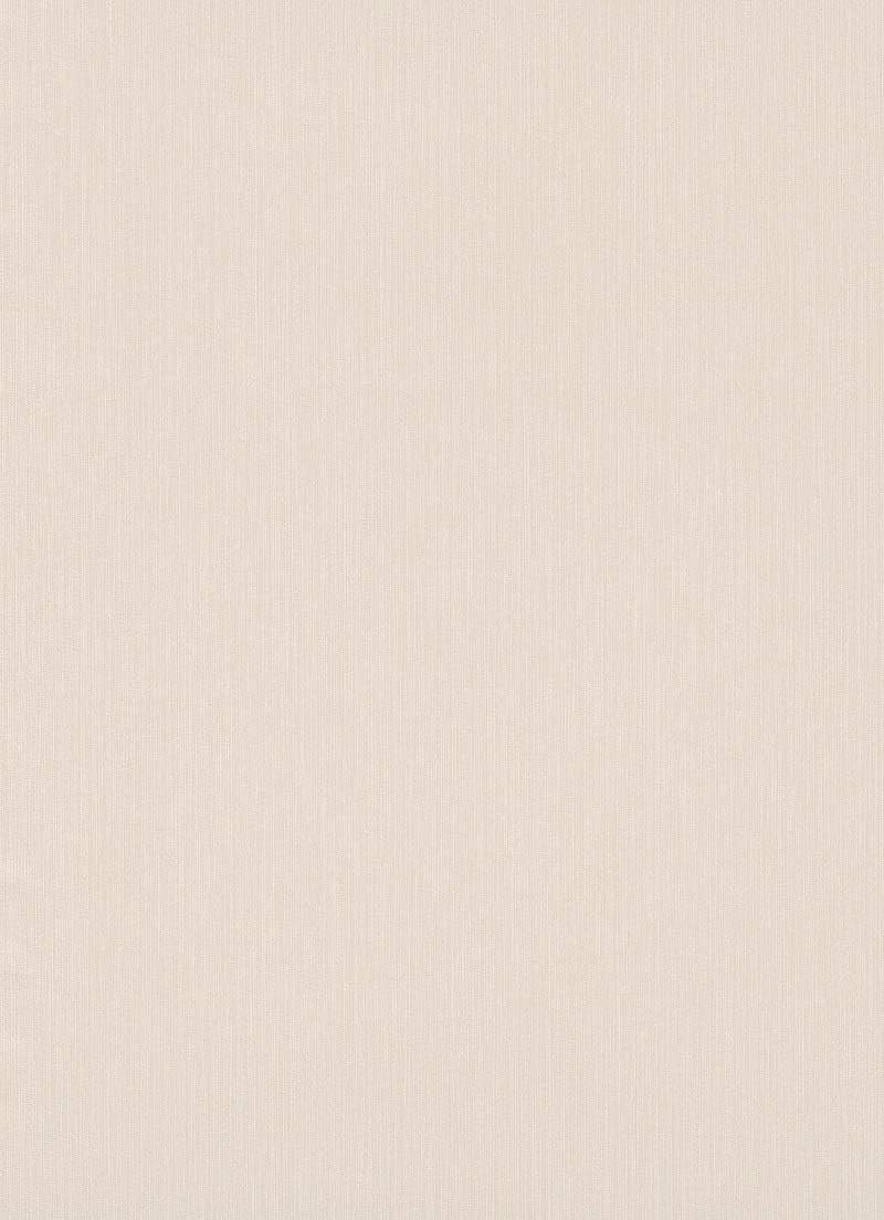 Viniliniai tapetai ERISMANN 10080-26, 0,53 x 10m