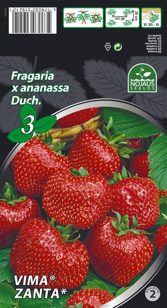 Braškių daigai (frigo) Vima Zanta A, 3 vnt. pakuotėje