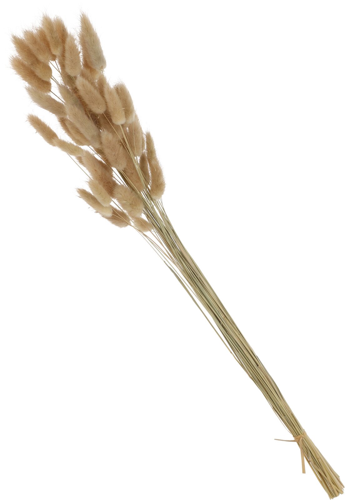 Džiovintų žolių puokštė, 65 cm