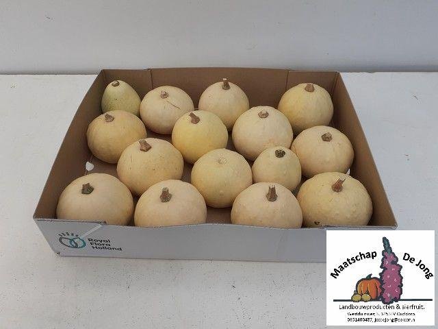 Dekoratyvinis moliūgas, įvairūs, skersmuo 10 cm.