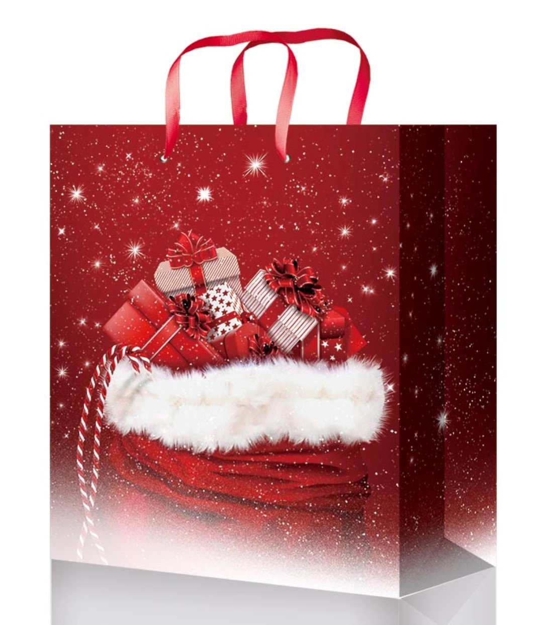 Kalėdinis dovanų maišelis Xmas HS, vidutinis, 24 x 18 x 8 cm