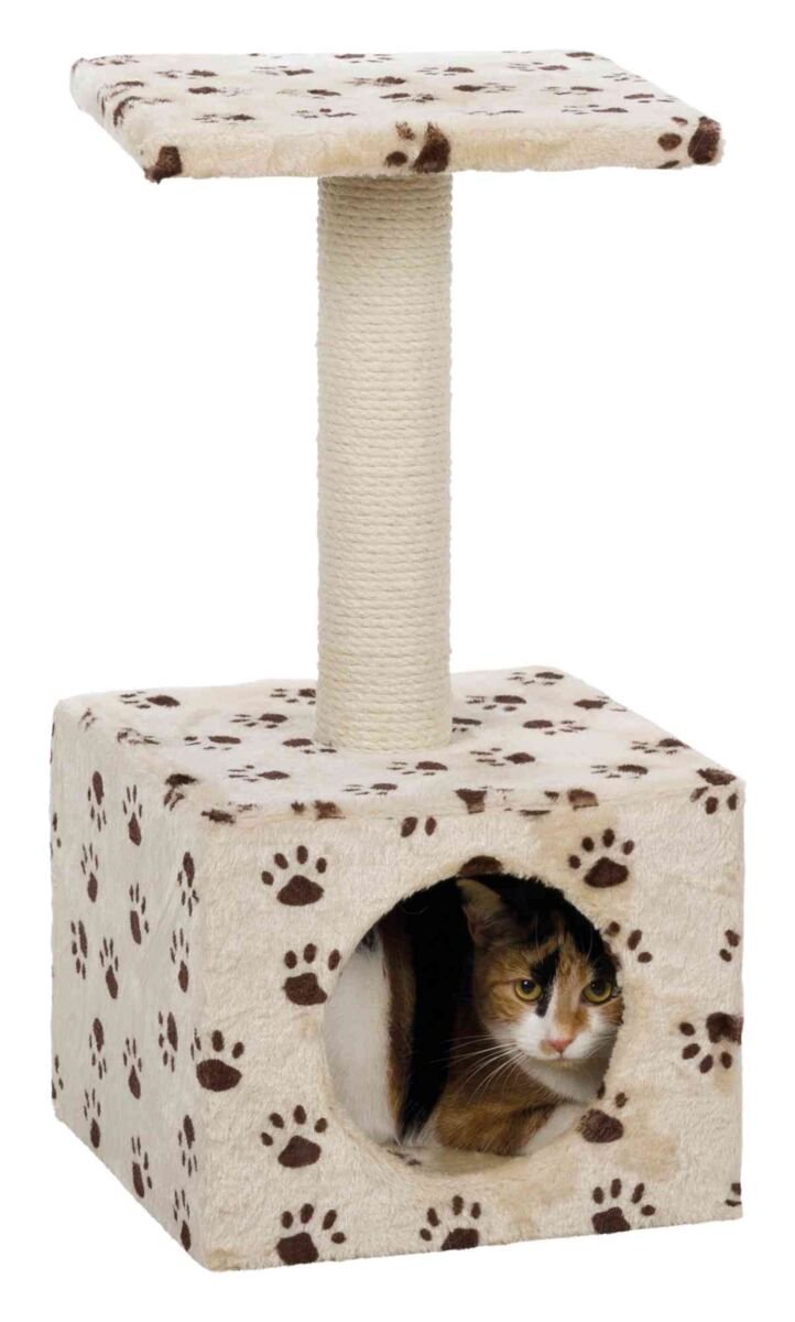 Draskyklė katėms TRIXIE Junior Zamora, su nameliu, 60cm
