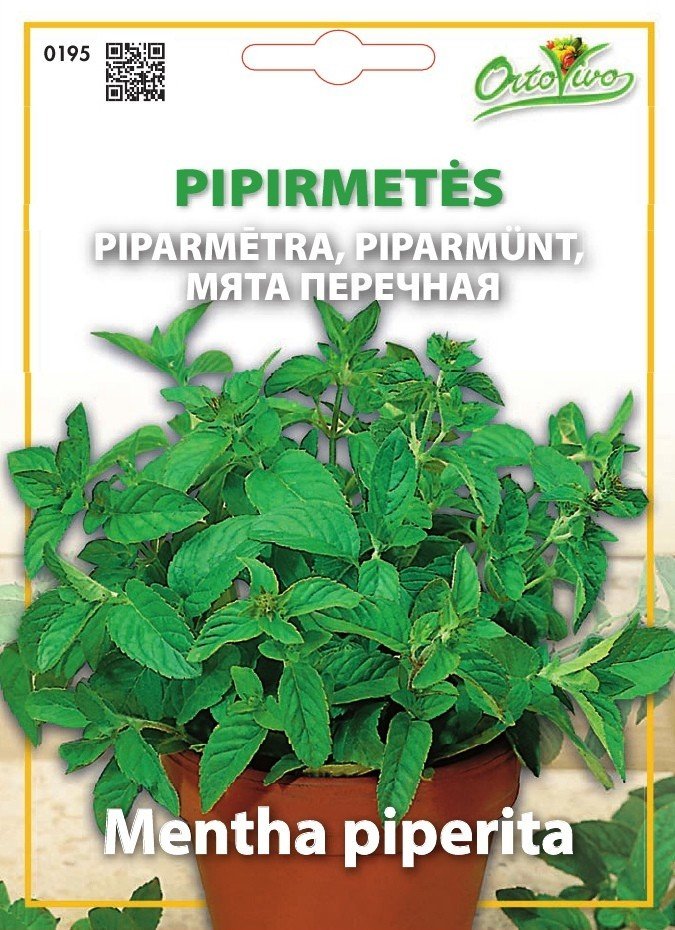 Sėklos, Pipirmetės HORTUS, 10 gr.