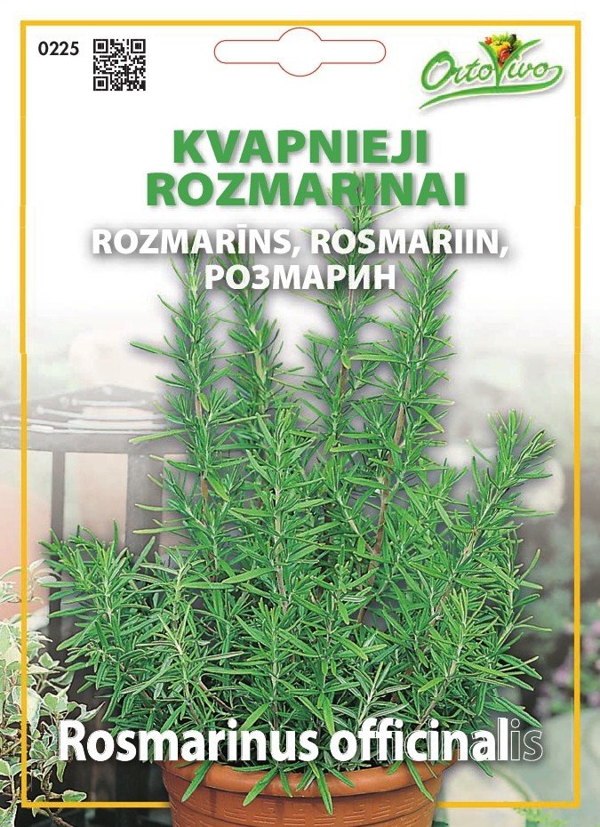 Sėklos, Kvapieji rozmarinai HORTUS