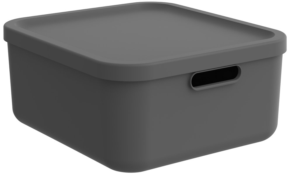 Daiktadėžė ROTHO Albula, 20 l, su dangčiu, antracito sp.
