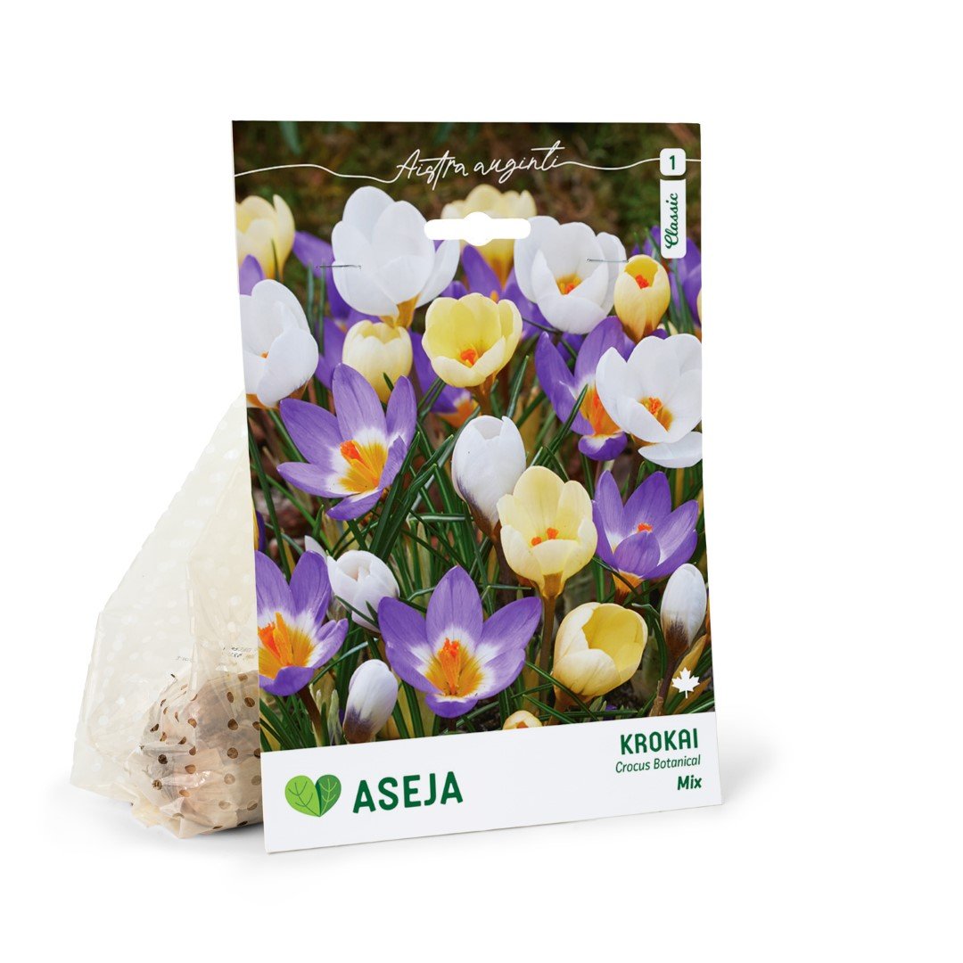 Botaninių krokų Mixed svogūnėliai ASEJA, 6 vnt., 5/+, 32913205, (R)