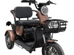 Elektrinis triratis EKOMOTO M20, rudas, 20 Ah švino rūgšties baterija