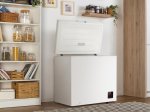 Šaldiklis GORENJE FH20E6W5, horizontalus