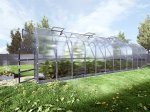 Šiltnamis KLASIKA Standart, 20 m2, su pamatu ir 6 mm polikarbonatinė danga, 2,5 x 8 m, lašo formos
