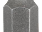 Sukimo antgalis BOSCH Torx, T20/l=25 mm, 3 vnt.