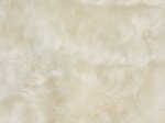 Avies kailis, 75 cm, 100% vilna, baltos spl., 705873