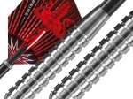 Darts strėlytės HARROWS Assassin Heavy W80, steeltip, 3x32 g