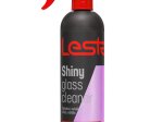 Automobilinis valiklis LESTA, stiklui, 500ml