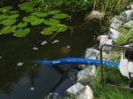 Plokščia žarna BRADAS Aqua-Flat PE/EVA, vandens pumpavimui, 1 1/4"- 20m, mėlyna spalva