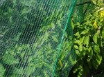 Tinklas nuo saulės NORTENE, 30%, žalios sp., 3,6 x 10 m