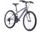 Dviratis MTB TORINO, vyriškas, 18 pavarų, 24 dydis