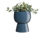 Kambarinis keraminis vazonas 4Living Casa, mėlynos sp., 15,5 x 15,5 x 18 cm.