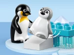 Konstruktorius LEGO DUPLO Town, laukinių gyvūnų šeimos: pingvinai ir liūtai