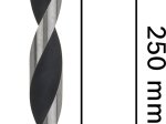 Grąžtas medienai BOSCH, 6 mm x 250 mm