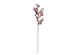 Kalėdinė dekoracija WINTERIA Dirbtinė šakelė, 6 rūšys, ilgis 57 - 65 cm