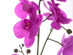 Dirbtinė gėlė orchidėja NOVELLY HOME GFQ-001, violetinės sp., aukštis - 58 cm