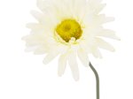 Dirbtinė gėlė gerbera NOVELLY HOME FP-3290/GA/B, baltos sp., aukštis - 59 cm