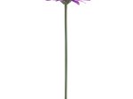 Dirbtinė gėlė gerbera NOVELLY HOME FP-3290/GA/V, violetinės sp., aukštis - 59 cm
