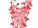 Dirbtinė gėlė orchidėja NOVELLY HOME FS-3343/BO/R, rožinės sp., aukštis - 89 cm