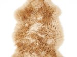 Avies kailis, 60 x 85 cm, 100% vilna, rusvos spl., 293507