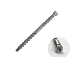 Terasiniai medsraigčiai FASTSHIFTER INVISIBLE, 4,5 x 60 mm, A2 nerūd. plieno, 250 vnt., TORX15