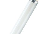 Liuminescencinė lempa OSRAM Flh1 L4-L58840, 58W T8 840, 4000K
