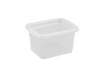 Daiktadėžė PLAST TEAM Basic Box, su dangčiu, skaidri, 32,8 x 19 x 25 cm, 9 l