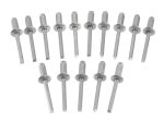 Aliuminės kniedės STANLEY, 5 x 6 mm, 15 vnt