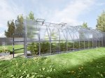 Šiltnamis KLASIKA Standart, 30 m2, su pamatu ir 4 mm polikarbonatinė danga, 2,5 x 12 m, lašo formos