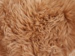 Avies kailis, 60 x 85 cm, 100% vilna, rusvos spl., 293507