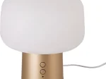 Kvapų difuzorius, 150 x 174 mm, talpa 15ml, USB jungtis