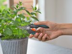 Derliaus nuėmimo žirklės GARDENA GripCut, ašmenys 45 mm