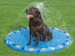 Vandens fontanas gyvūnams BESTWAY Fetchin' Fun, d-147 cm, 52699