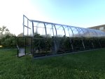 Šiltnamis KLASIKA Arkinis, 24 m2, su pamatu ir 4 mm polikarbonatine danga, 3 x 8 m, arkos formos