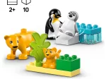 Konstruktorius LEGO DUPLO Town, laukinių gyvūnų šeimos: pingvinai ir liūtai