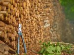 Genėjimo žirklės GARDENA EnergyCut Pro S, 50 mm, prasilenkiančiais ašmenimis, integruotas krumplaratis, aliuminės 600 mm rankenos